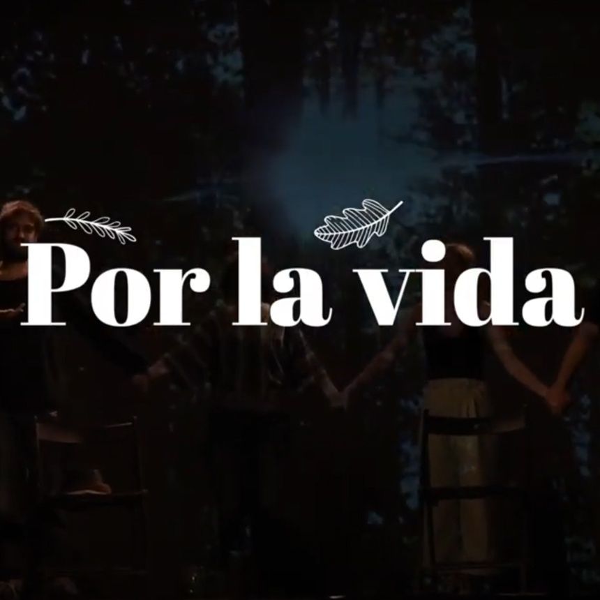 Por La Vida | Grabación del teaser promocional y diseño de grafismos del espectáculo poético POR LA VIDA.